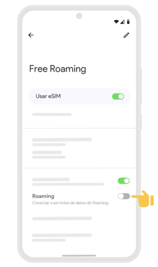 05. Activar Roaming - Guía de activación Google Pixel